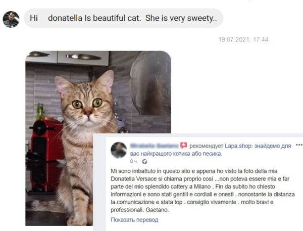 гайтано