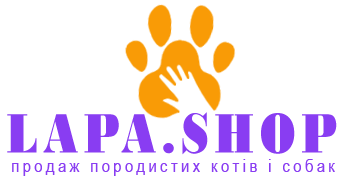 лого