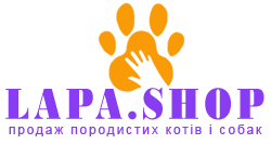 лого
