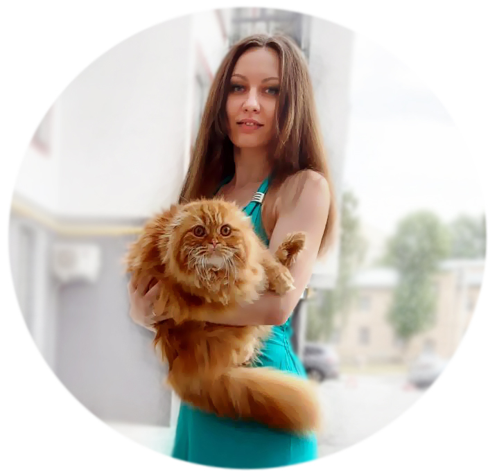 Наша история darsy 1