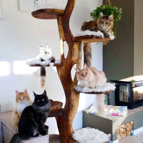Exclusive Natural Cat Tree Tower To Order