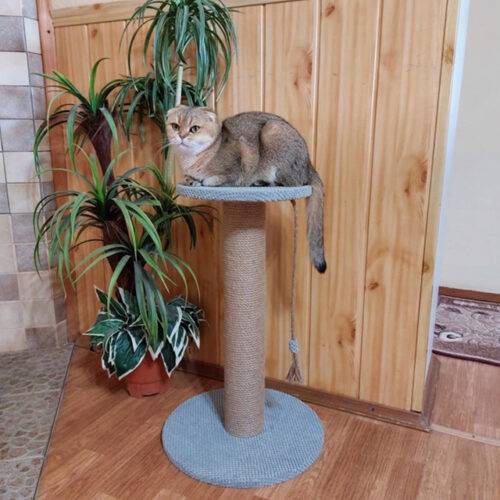Scratching post with 64 cm high bed (gray)