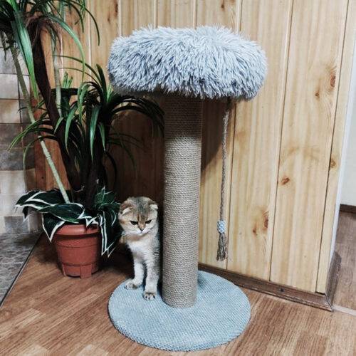 Scratching post "Nest" gray, height 64 cm