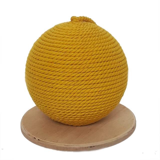 343191337_744665933871873_1324170412532507543_n