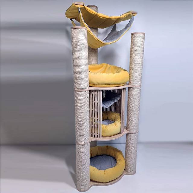 352304154_6012504432192260_4093140084319282396_n