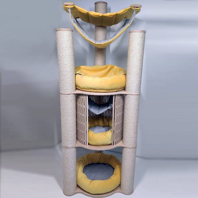 352522303_6012504255525611_7750595640661880227_n