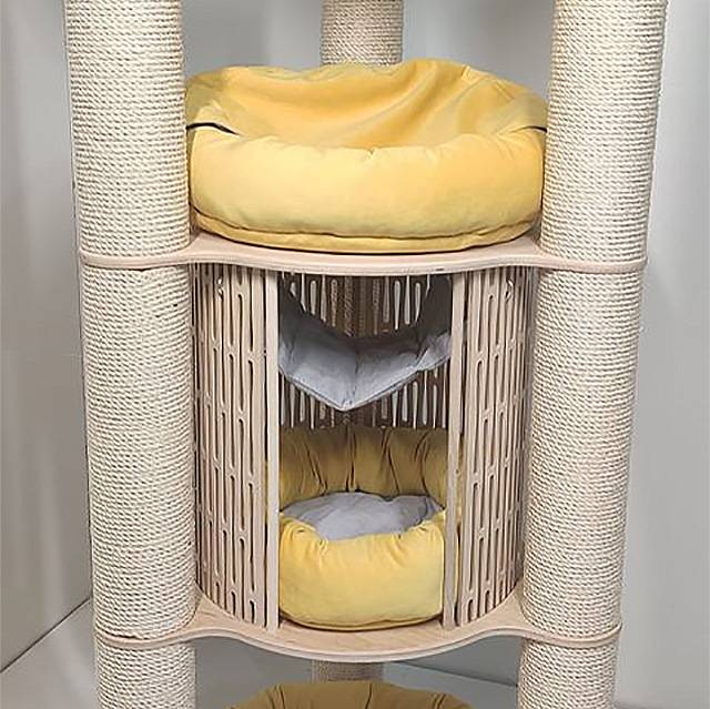 352522303_6012504255525611_7750595640661880227_n