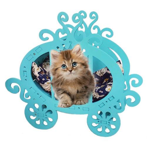 Фотозони для кошенят і цуценят