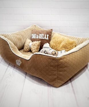 "The Hunger Games" Producer Chose a Dog from Ukraine 20230306 163839 01