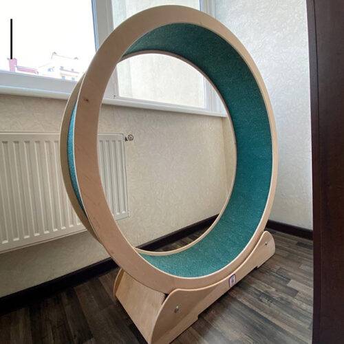 Cat Treadmill Turquoise (Choose the Size)