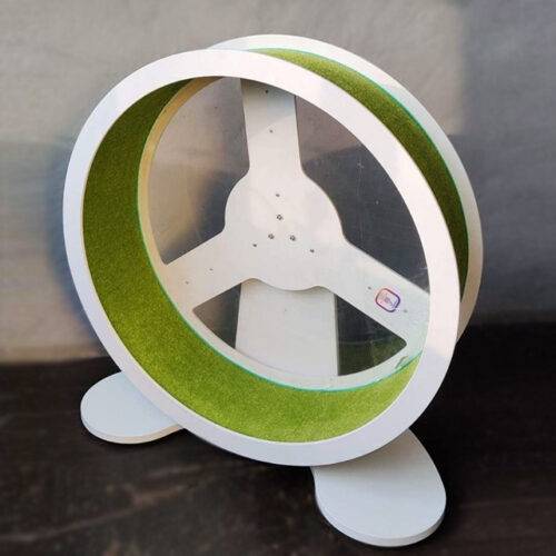 колесо для кота з прозорою задньою стинкою