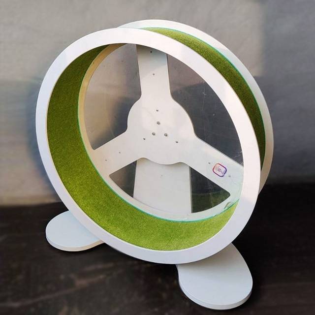 колесо для кота з прозорою задньою стинкою