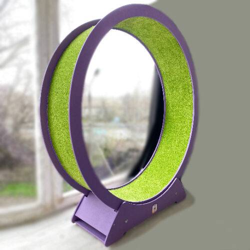 Cat Treadmill Green and Violet (Choose the Size)