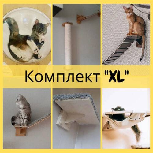 Настенный комплект для котов в разных цветах размер XL