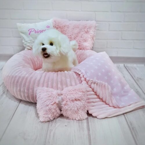 Round gray dog bed for dogs and cats 55 cm in diameter + blanket