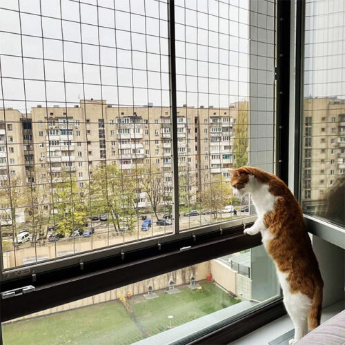 Решітка-антикішка на вікна