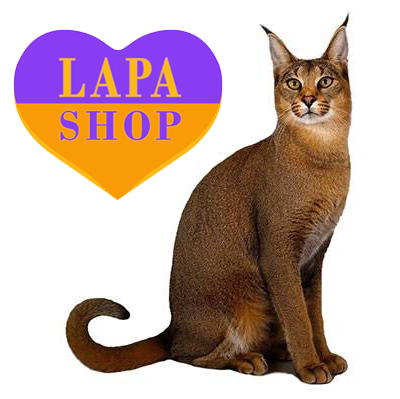 Didn't Find a Kitten? Send Us a Request for a Caracat — We`ll Send More!