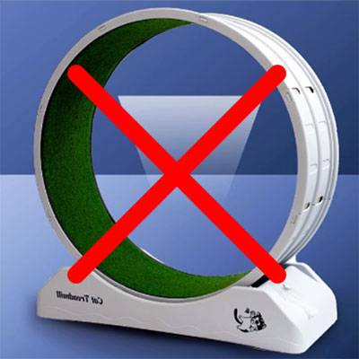 Як вибрати бігове колесо для кота? kolesobad1