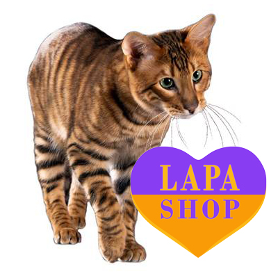 Didn't Find a Kitten? Send Us a Request for a Toyger — We`ll Send More!