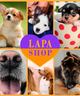 "The Hunger Games" Producer Chose a Dog from Ukraine puppi