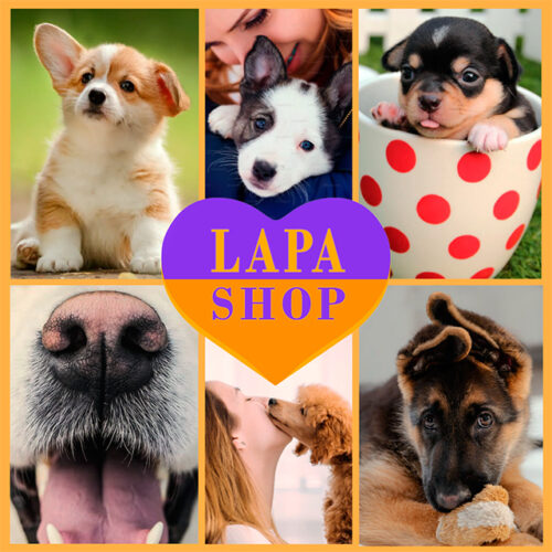 Didn't find a puppy? Fill out a request — we will send you options!