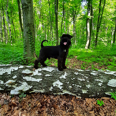 Наша история 20210516 113304