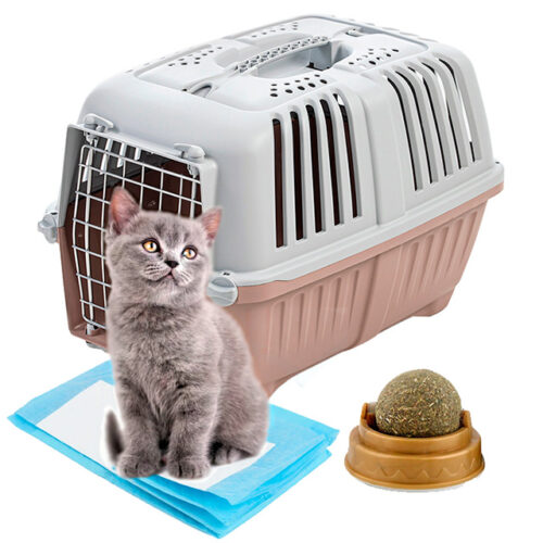 carrier for cats