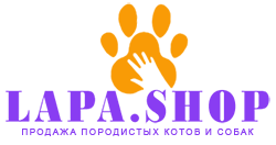 лого