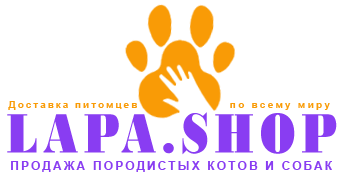 лого