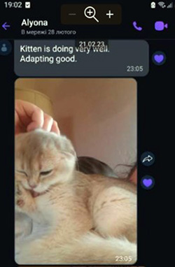 Lapa.shop Customer Reviews alona 1