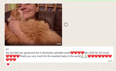 Lapa.shop Customer Reviews elizabet shvetsiya pers sofiya