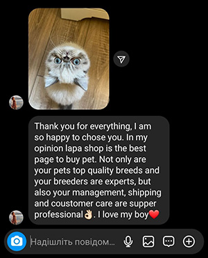 Lapa.shop Customer Reviews nazila yaffi scan