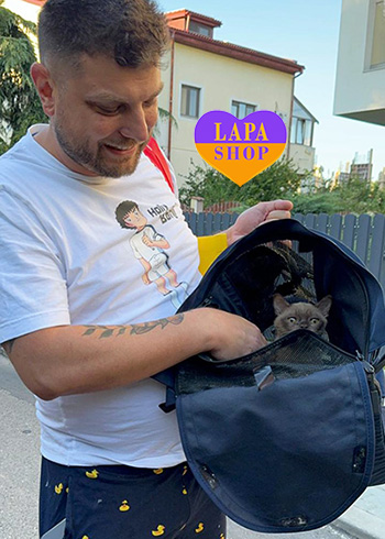 Dostawa kociąt i szczeniąt do Polski i z Polski aleks burmyata buharest