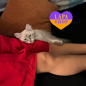 The Lapa Universe aleks layon