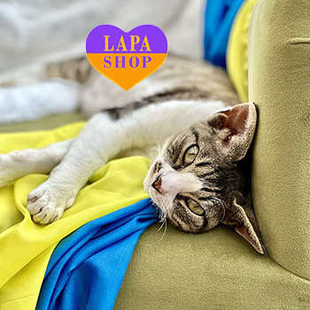 The Lapa Universe devon dzhareda byana vdoma