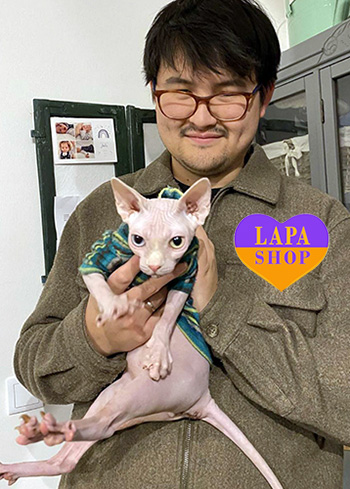 Dostawa kociąt i szczeniąt do Polski i z Polski dzheremi miller ta sofiya