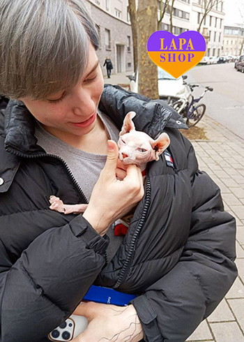 Dostawa kociąt i szczeniąt do Polski i z Polski elf stoyanovoy nimechchyna