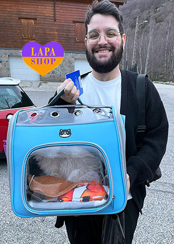 Dostawa kociąt i szczeniąt do Polski i z Polski esus andorra frenk