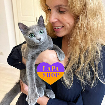 The Lapa Universe gloria