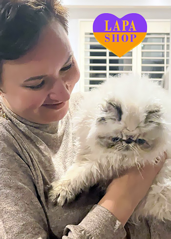 Dostawa kociąt i szczeniąt do Polski i z Polski kishka yula toronto