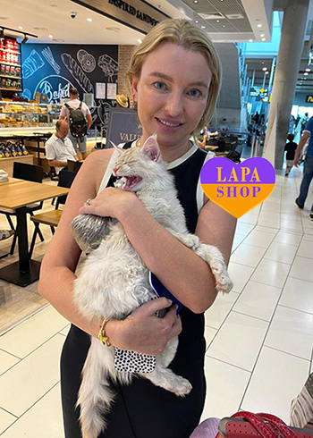 Dostawa kociąt i szczeniąt do Polski i z Polski kristina eney kipr