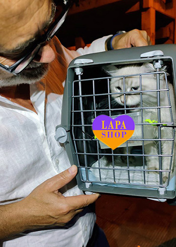 Dostawa kociąt i szczeniąt do Polski i z Polski leo hretsiya