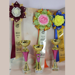 Халва — красуня породи селкірк-рекс в черепахово-білій шубці nagoroda