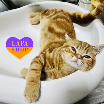 The Lapa Universe natalya kryvyy rih rudyy strayt