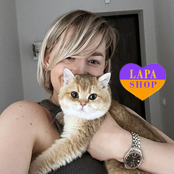 The Lapa Universe olena podrezova brytanska kishka