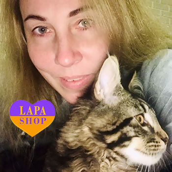 The Lapa Universe olesya zavhorodnya ta kazimir