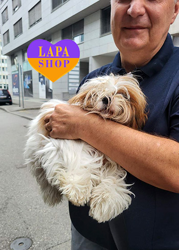 Dostawa kociąt i szczeniąt do Polski i z Polski photo 2024 09 09 18 56 18