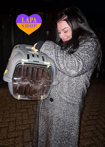 Dostawa kociąt i szczeniąt do Polski i z Polski sanne niderlandy 2