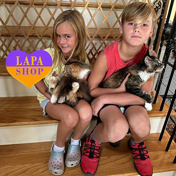 The Lapa Universe temmi prana penelopa