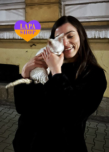 Dostawa kociąt i szczeniąt do Polski i z Polski teodora 3